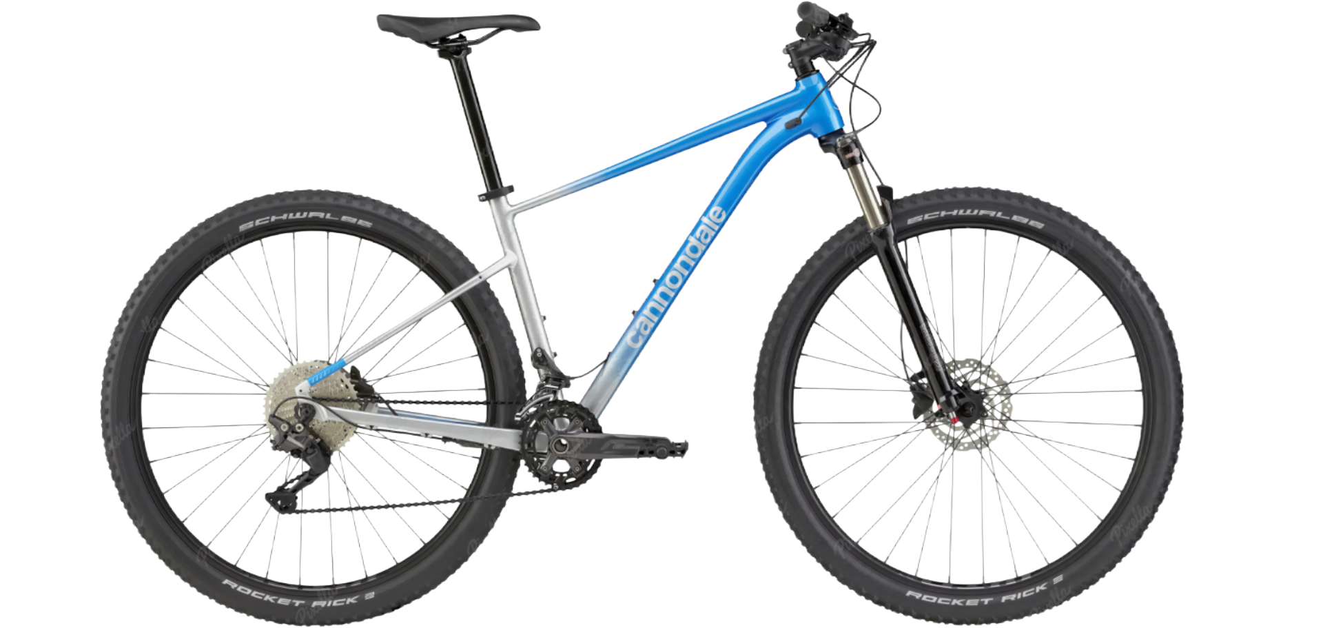 Remove background project (5)